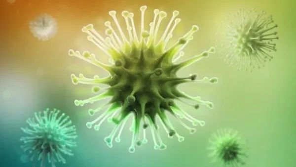 抗菌药物科普知识ppt,抗菌药物科普