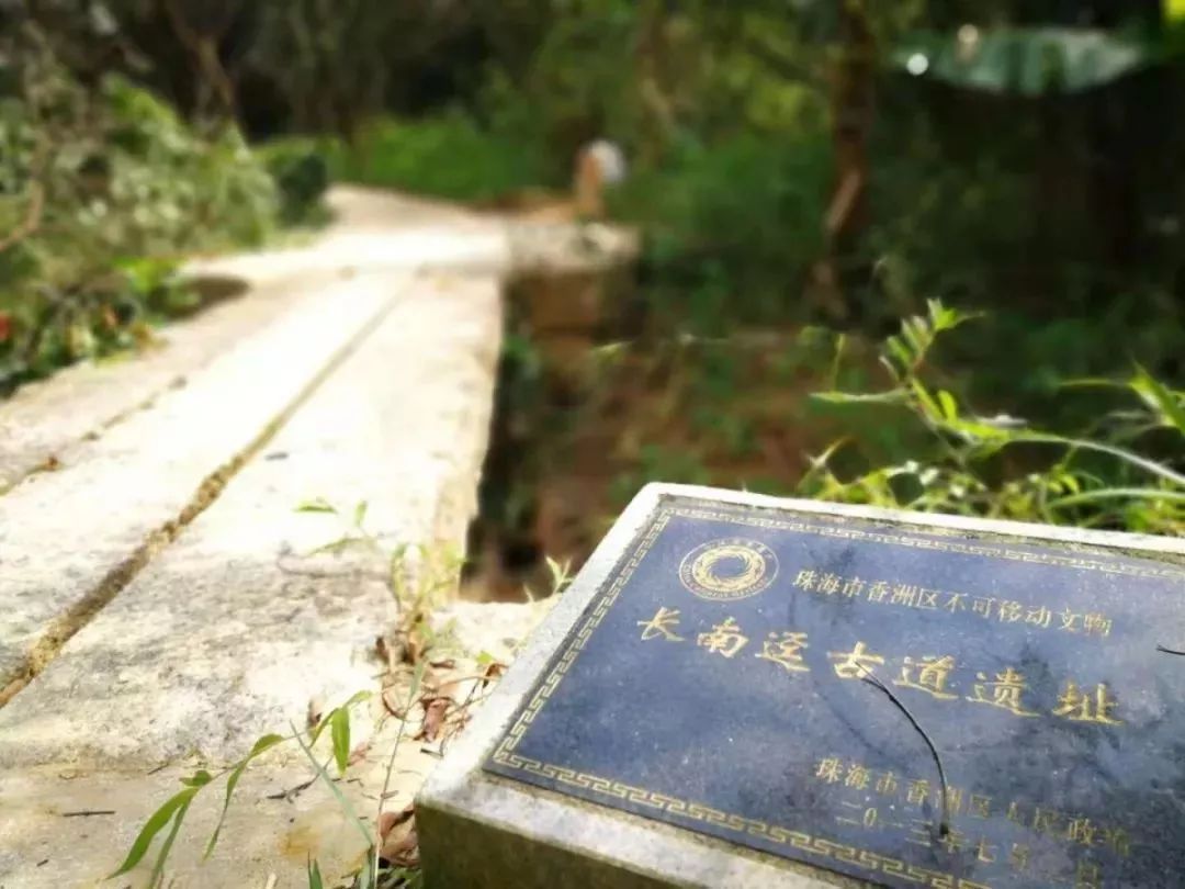 中山珠海赏花好地方,珠海斗门五一旅游攻略