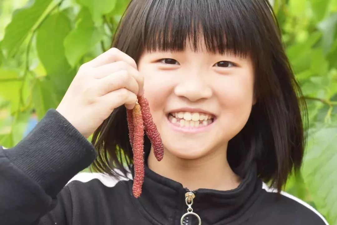 中山珠海赏花好地方,珠海斗门五一旅游攻略