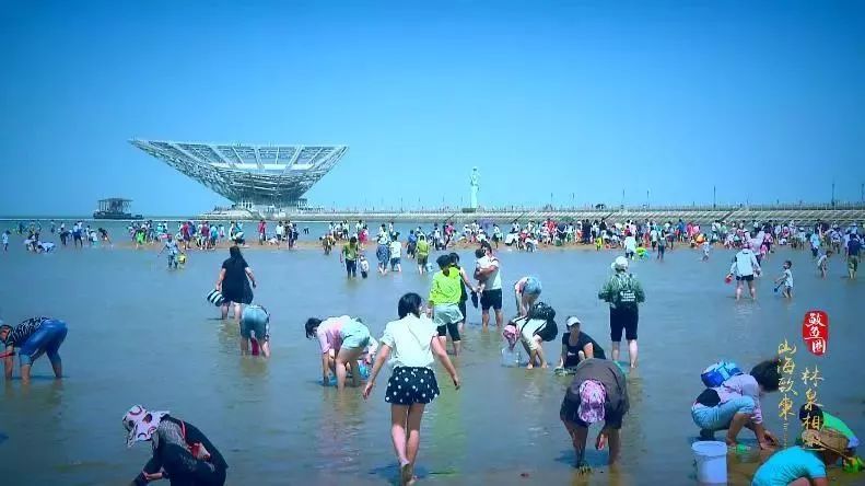 夏日鲅鱼圈旅游,开心假期去哪里玩