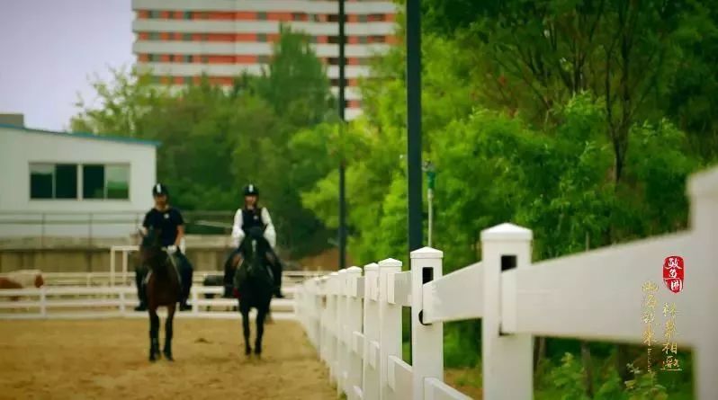 夏日鲅鱼圈旅游,开心假期去哪里玩