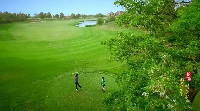 夏日鲅鱼圈旅游,开心假期去哪里玩