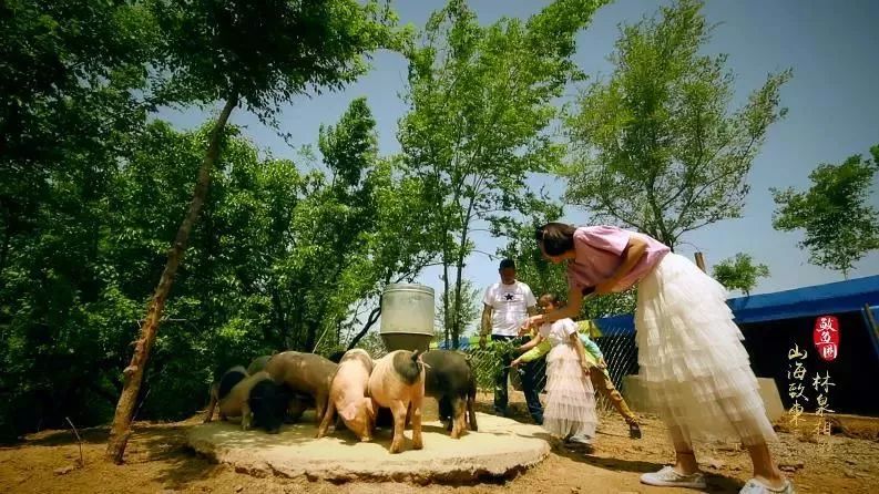 夏日鲅鱼圈旅游,开心假期去哪里玩