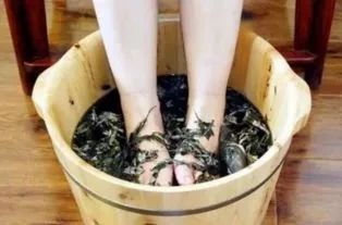 这种野草吃对了补肾吃错了伤身,腰痛常用野生草药