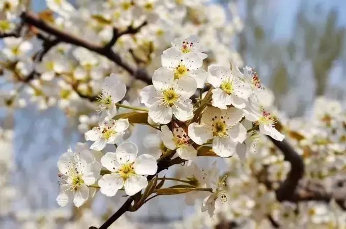 最新通告！清明假期，河北这些地儿不能去，因为……