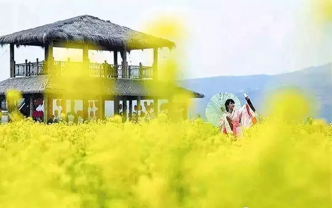 最新通告！清明假期，河北这些地儿不能去，因为……