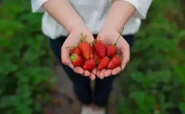 最新通告！清明假期，河北这些地儿不能去，因为……