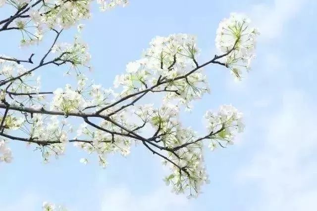 最新通告！清明假期，河北这些地儿不能去，因为……