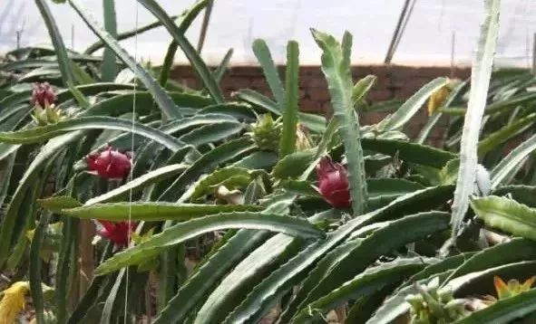 最新通告！清明假期，河北这些地儿不能去，因为……