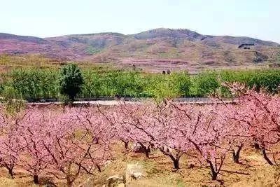 最新通告！清明假期，河北这些地儿不能去，因为……