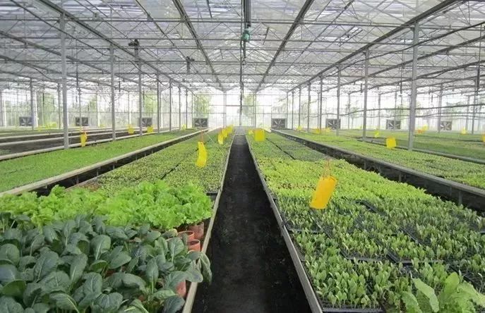 最新通告！清明假期，河北这些地儿不能去，因为……