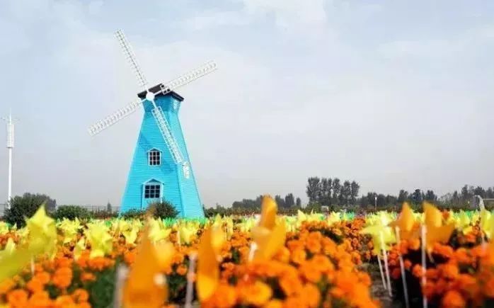 最新通告！清明假期，河北这些地儿不能去，因为……