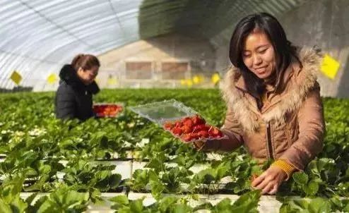 最新通告！清明假期，河北这些地儿不能去，因为……