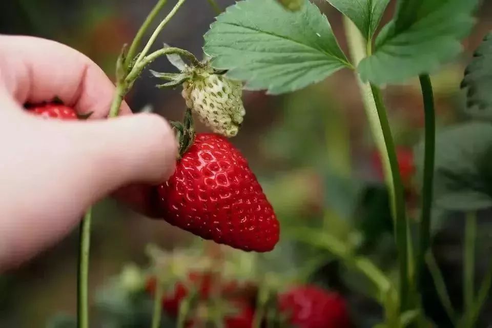 最新通告！清明假期，河北这些地儿不能去，因为……