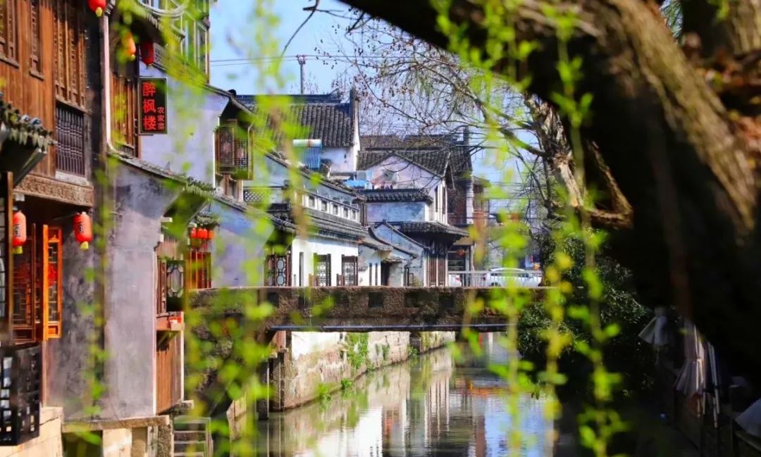 清明小长假上海旅游,上海清明小长假适合去哪旅游