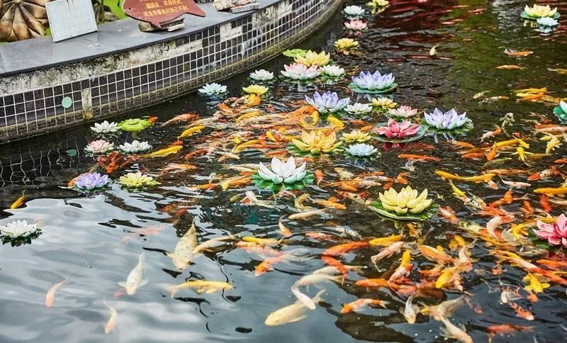 清明小长假上海旅游,上海清明小长假适合去哪旅游