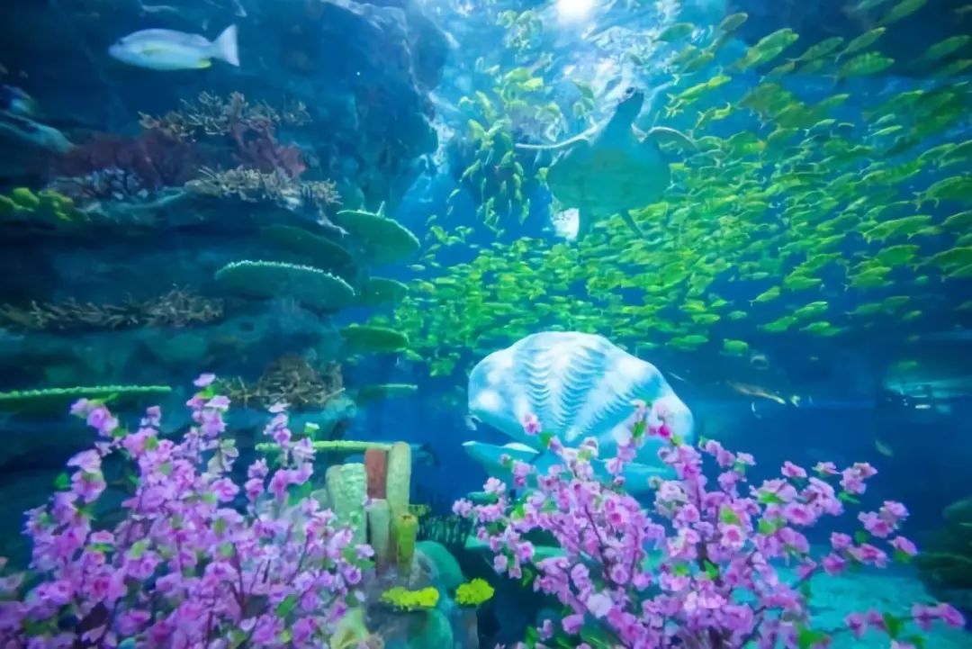 清明小长假上海旅游,上海清明小长假适合去哪旅游