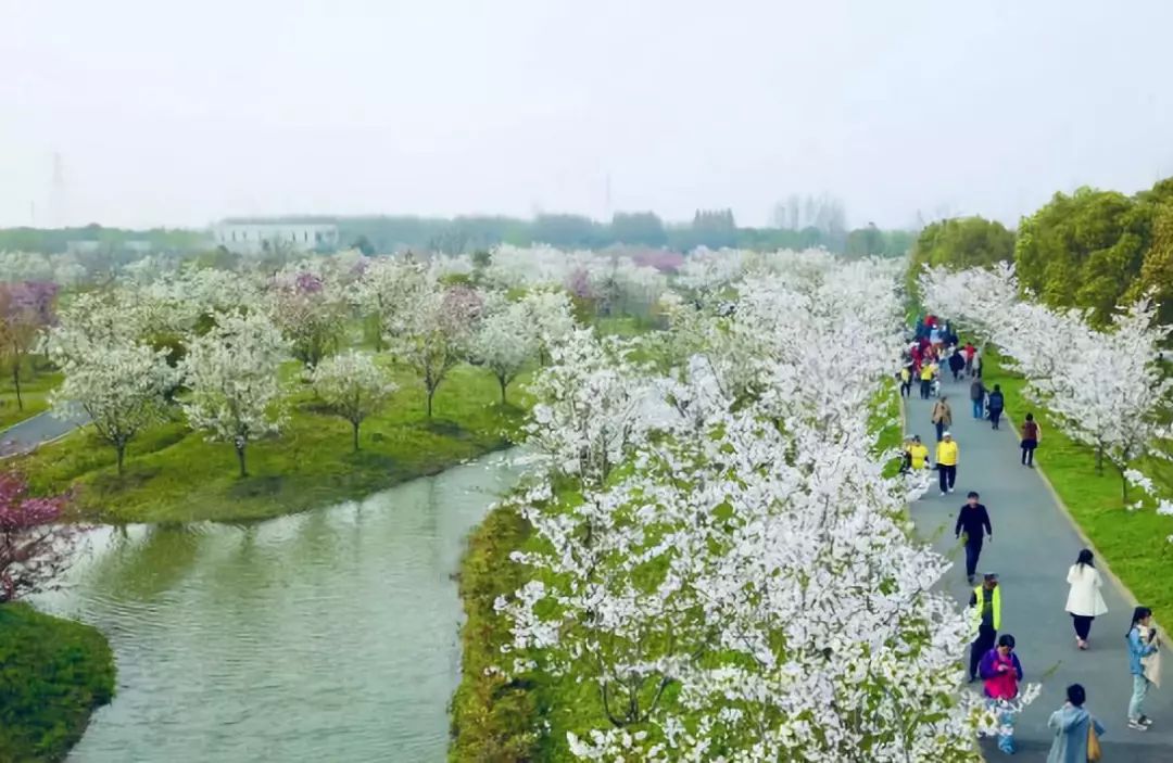清明小长假上海旅游,上海清明小长假适合去哪旅游