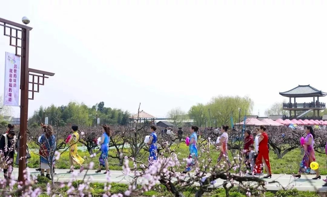 清明小长假上海旅游,上海清明小长假适合去哪旅游