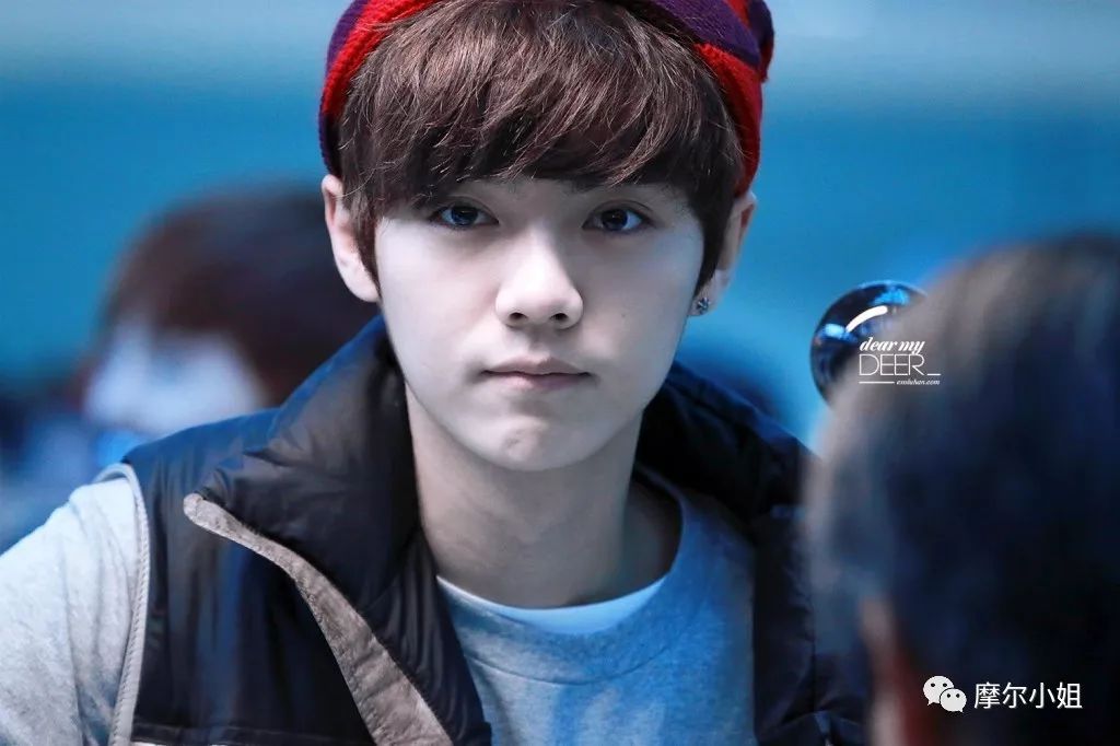 2019我和我的经纪人,我和我的经纪人背后的故事