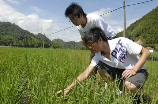 澶存潯鎬庝箞鎶曡祫鍐滀笟,澶存潯鍐滀笟鎶曡祫鍟嗘満