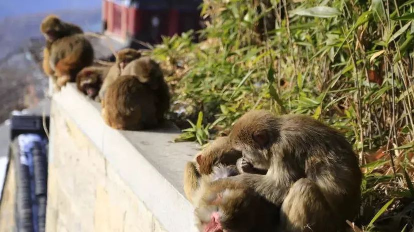 5天小长假旅游推荐,51小长假5天自驾游推荐