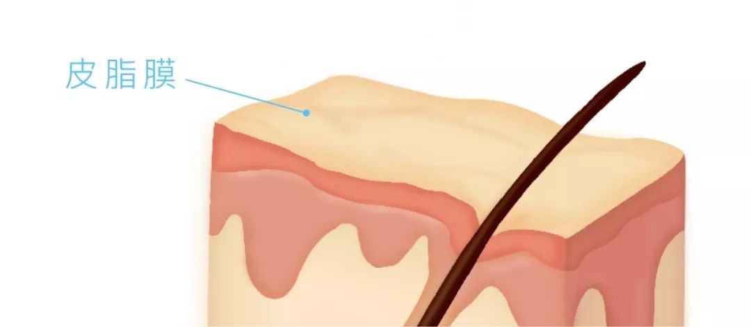 放心购上买的化妆品,放心购护肤品怎么样可靠吗