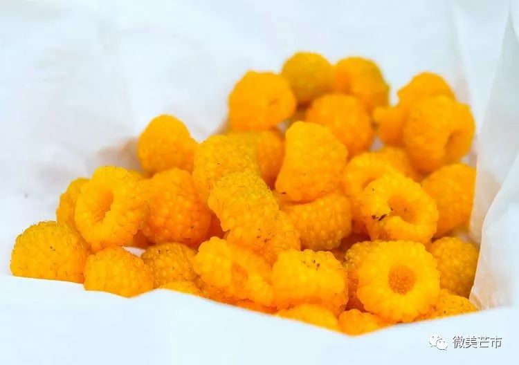 踏青赏花好时节与你共赴大自然,赏春踏青好时节