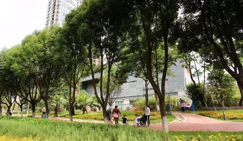 全面开挂！盘龙区大发展！未来不可估量！