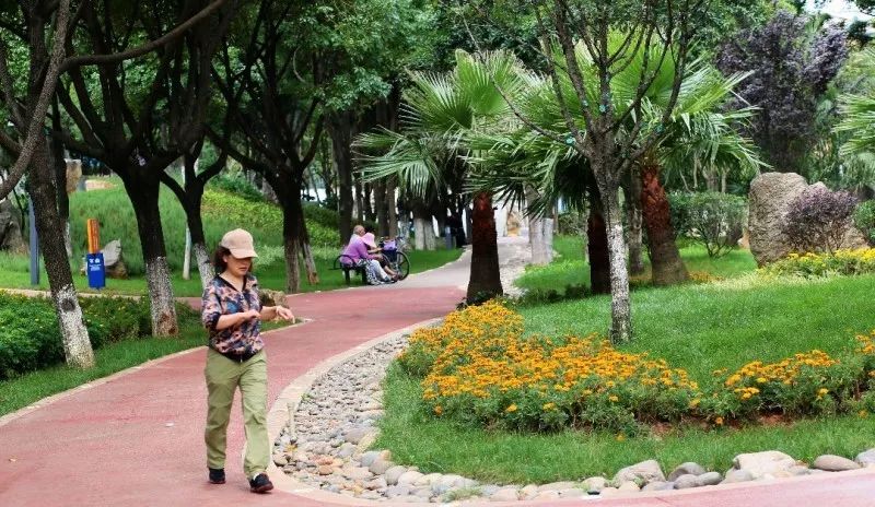 全面开挂！盘龙区大发展！未来不可估量！