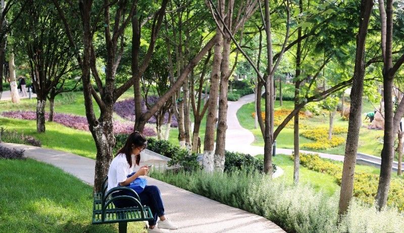 全面开挂！盘龙区大发展！未来不可估量！