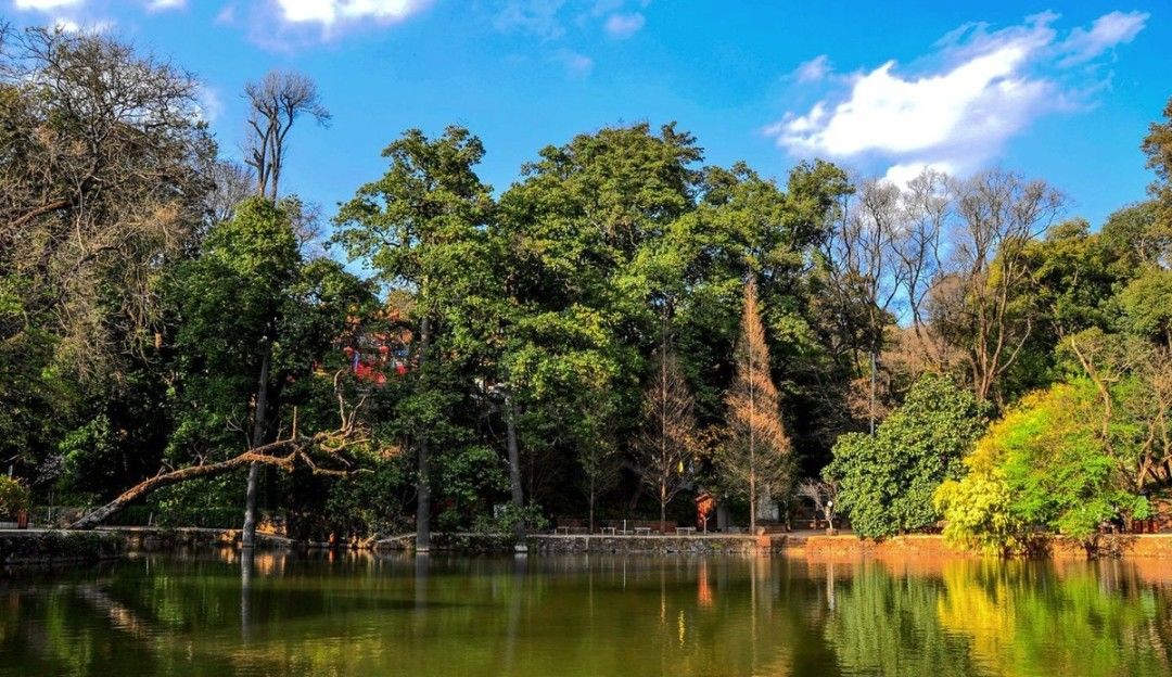 全面开挂！盘龙区大发展！未来不可估量！