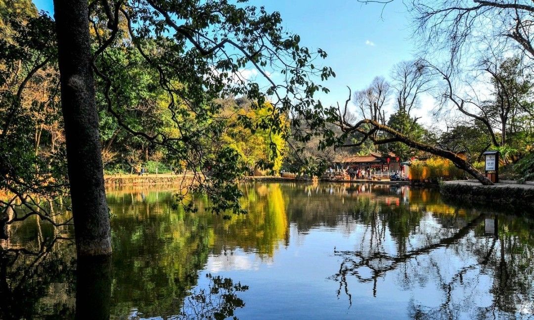 全面开挂！盘龙区大发展！未来不可估量！