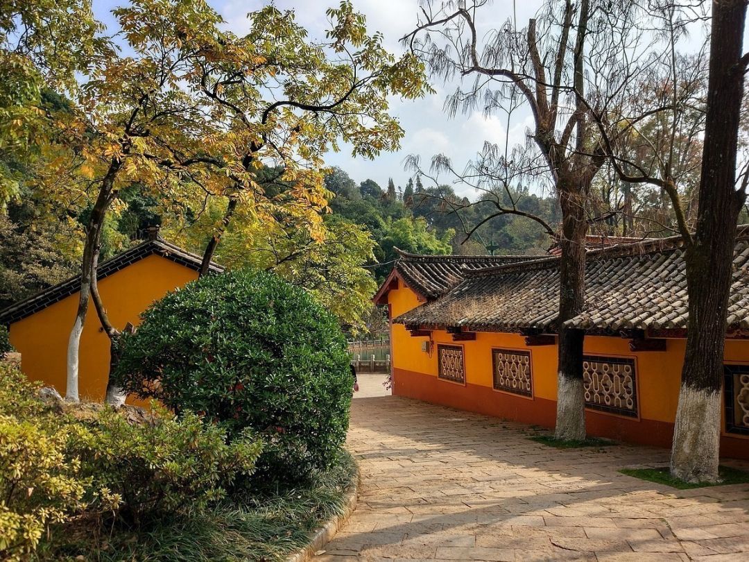 全面开挂！盘龙区大发展！未来不可估量！