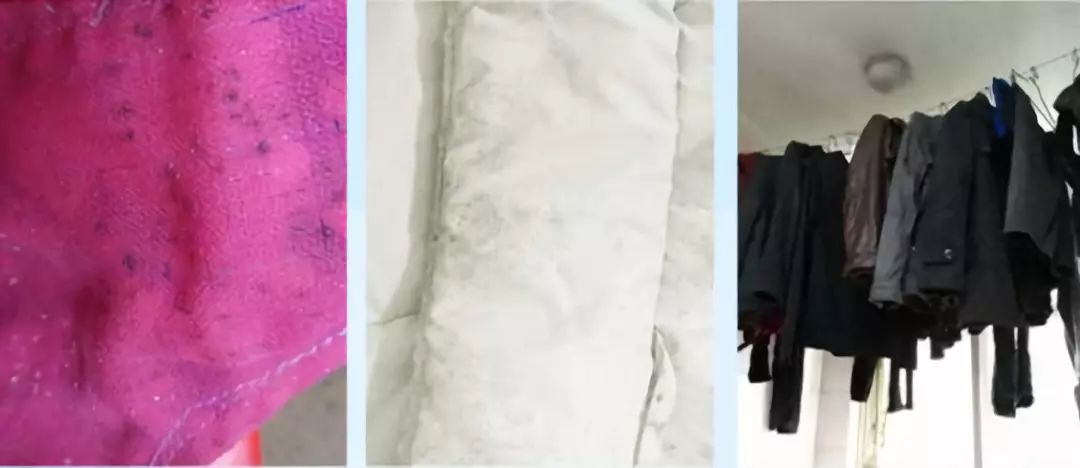 日本酵素洗衣粉，抑菌除臭，阴雨天照样洗衣服，还更省钱！