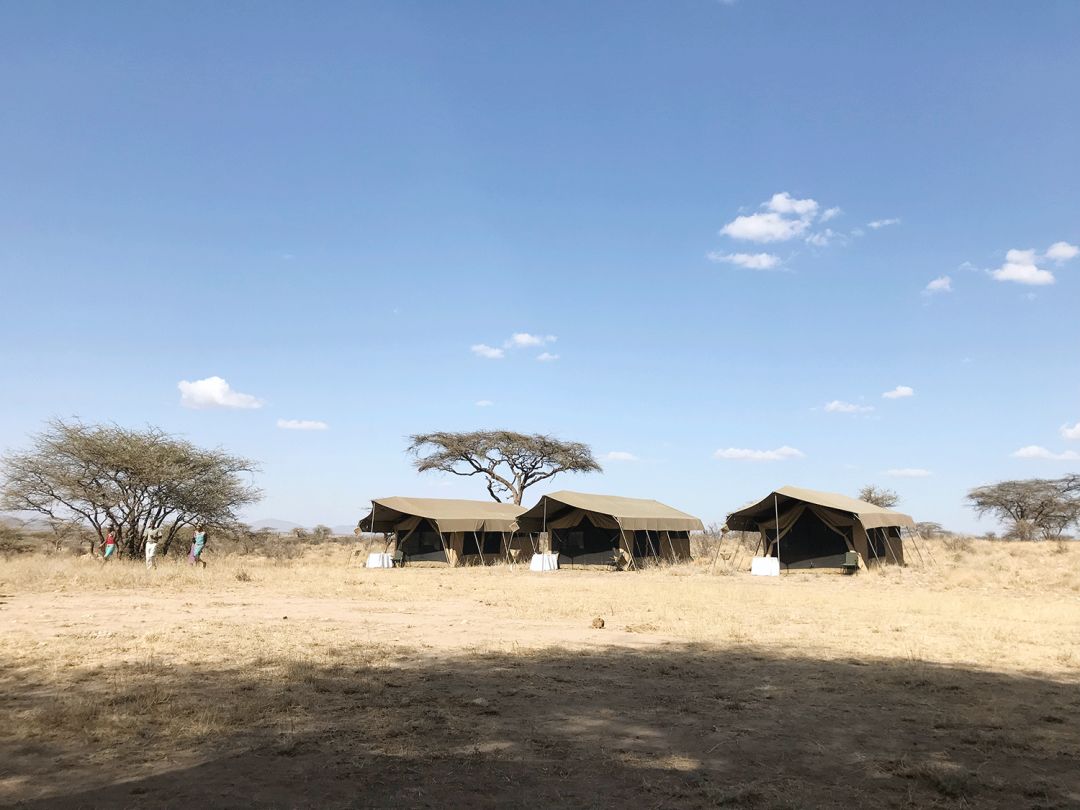 跟刘昊然在非洲过了6天5夜，发现他其实就是个话痨加多动症啊……