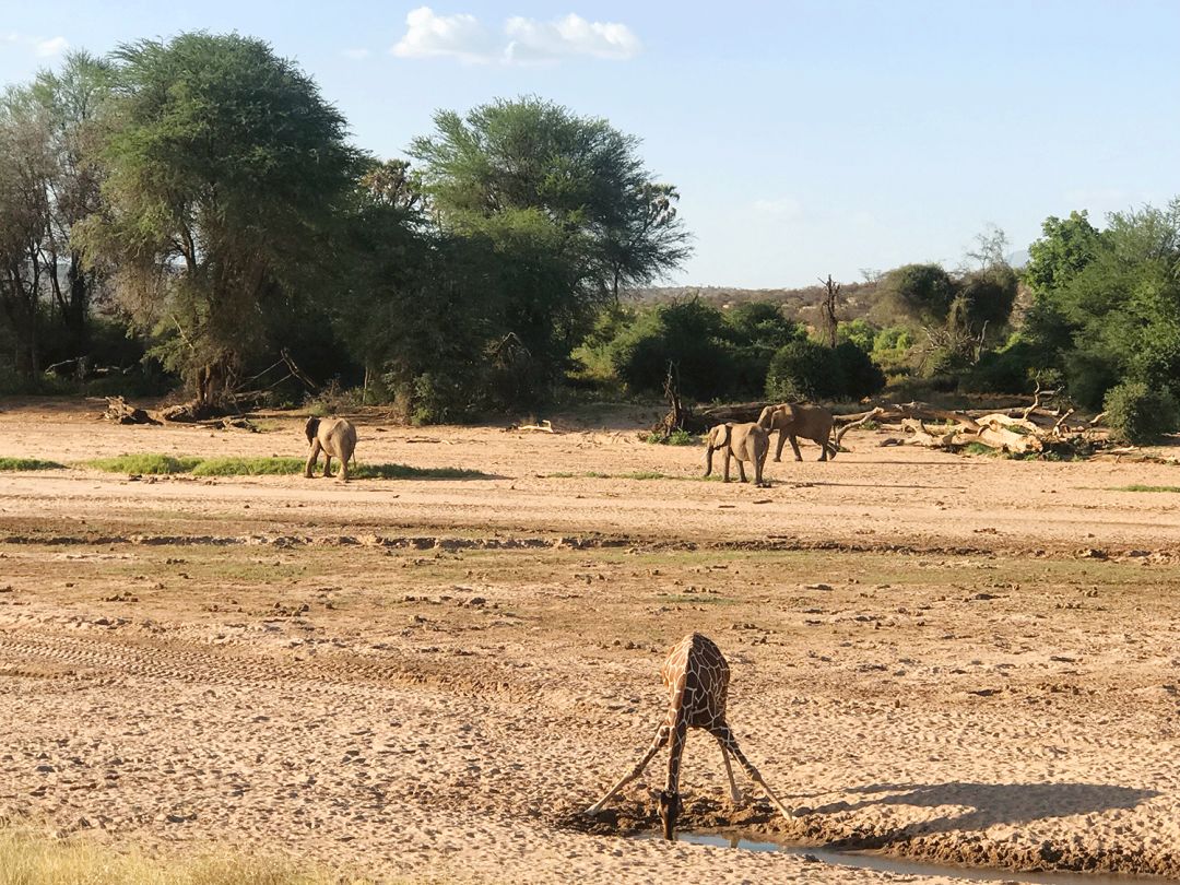跟刘昊然在非洲过了6天5夜，发现他其实就是个话痨加多动症啊……