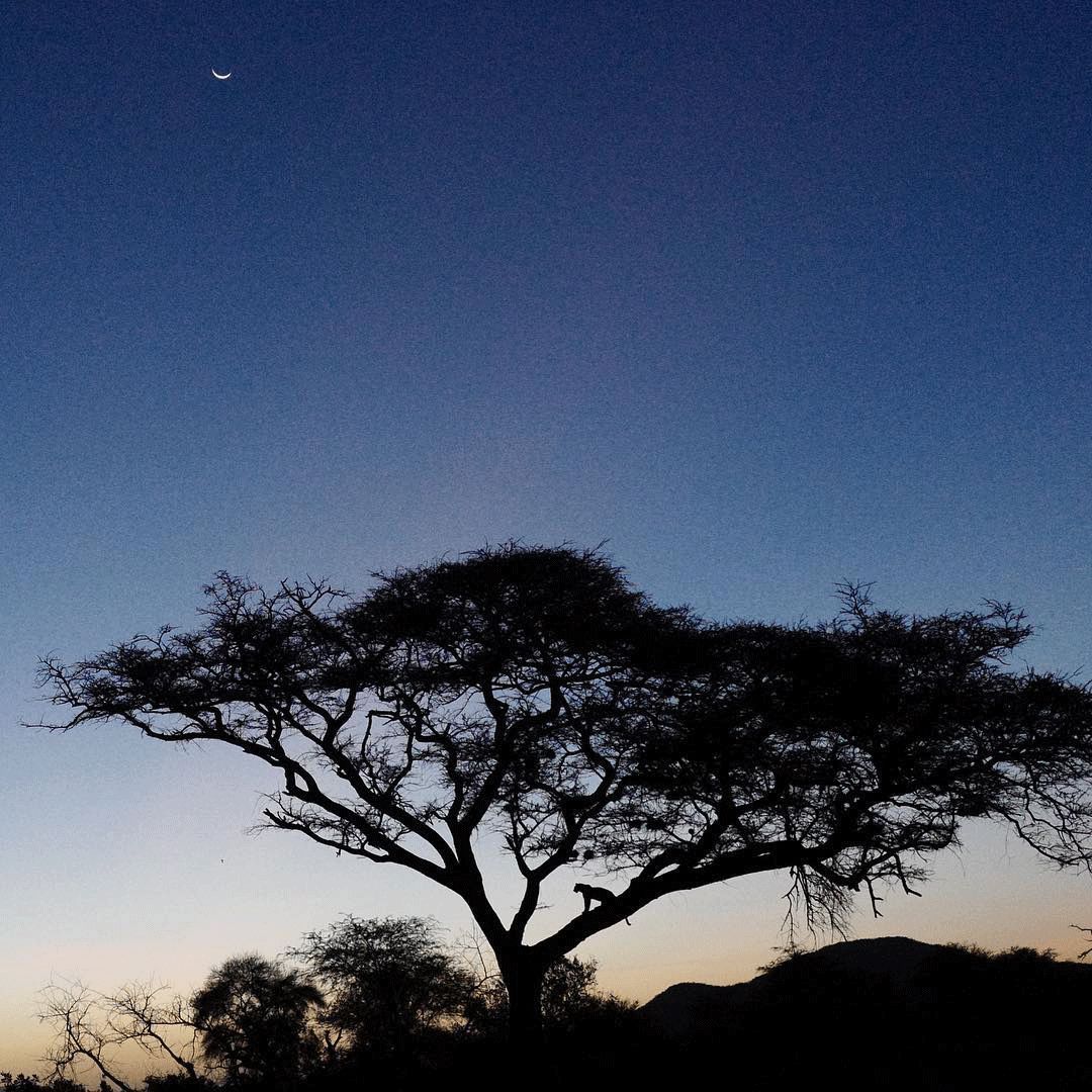 跟刘昊然在非洲过了6天5夜，发现他其实就是个话痨加多动症啊……