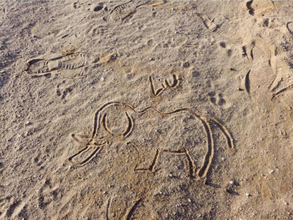 跟刘昊然在非洲过了6天5夜，发现他其实就是个话痨加多动症啊……