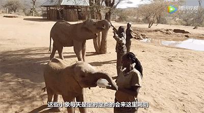 跟刘昊然在非洲过了6天5夜，发现他其实就是个话痨加多动症啊……