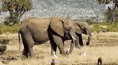 跟刘昊然在非洲过了6天5夜，发现他其实就是个话痨加多动症啊……