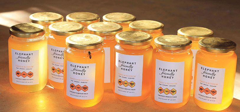 跟刘昊然在非洲过了6天5夜，发现他其实就是个话痨加多动症啊……