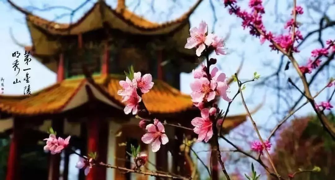 常州周边这117个景点通通免费!现在就出发!