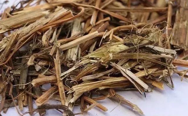 潮阳人上山扫墓讨厌碰到它,可没想到它还有这么多用处...