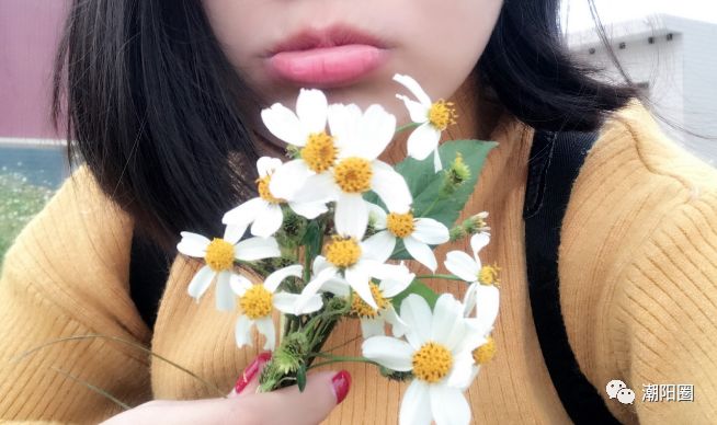 潮阳人上山扫墓讨厌碰到它,可没想到它还有这么多用处...