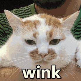 切除了子宫是大手术吗,女人切除子宫后会怎样