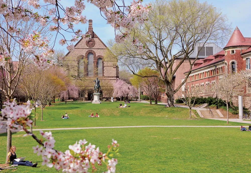 8所藤校放榜,2022藤校早申offer放榜