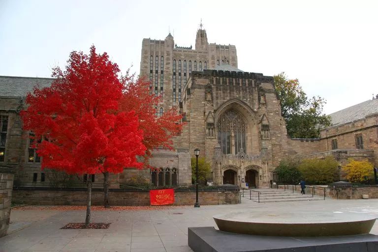 8所藤校放榜,2022藤校早申offer放榜