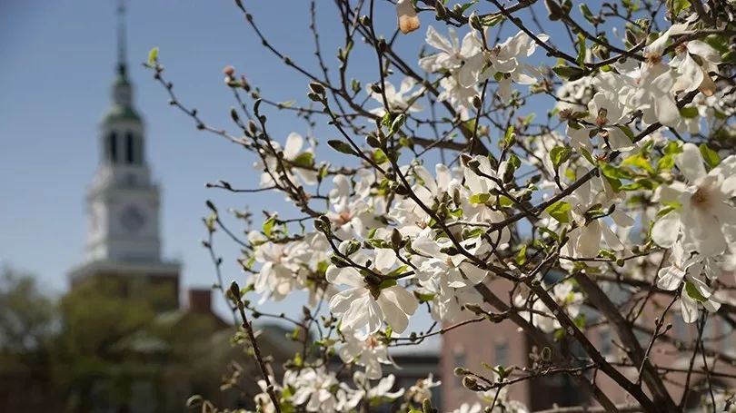 8所藤校放榜,2022藤校早申offer放榜