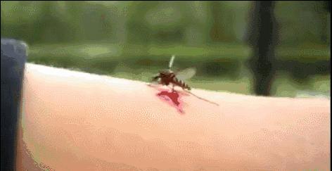 驱蚊手环儿童热门,驱蚊手环儿童款推荐